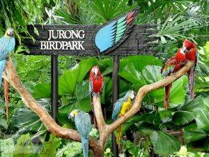 jurong-birdpark_